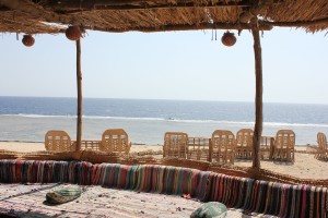 campsite bar