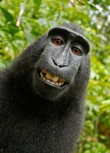 Laughing