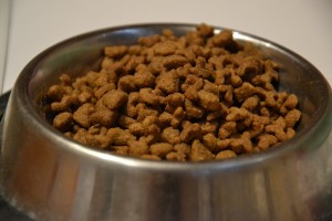 dried cat food pellets