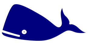 Blue Whale