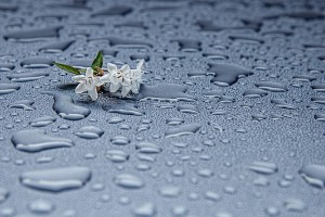 wet floor