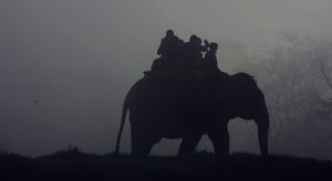 Elephant carrying people