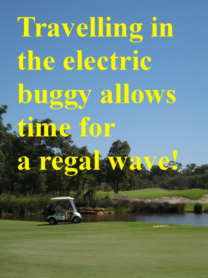electricbuggytext